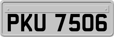 PKU7506