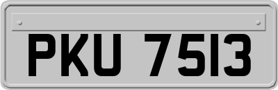 PKU7513