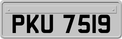 PKU7519