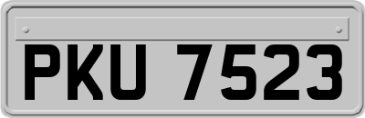 PKU7523