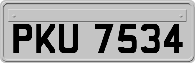 PKU7534