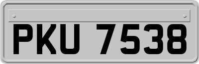 PKU7538