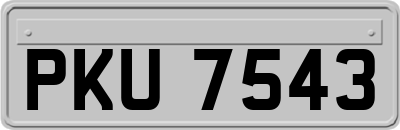 PKU7543