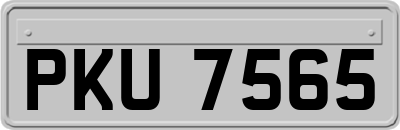 PKU7565