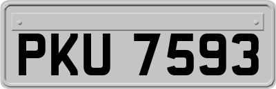 PKU7593