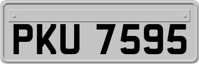 PKU7595