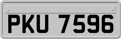 PKU7596