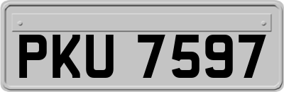 PKU7597