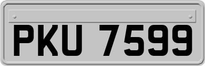 PKU7599