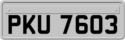PKU7603