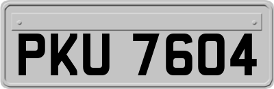 PKU7604