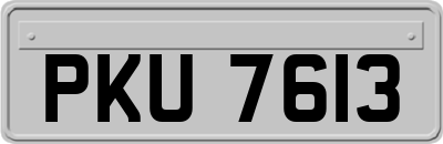 PKU7613