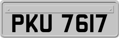 PKU7617