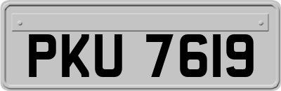 PKU7619