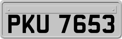 PKU7653