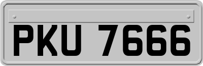 PKU7666
