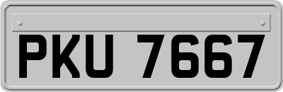 PKU7667