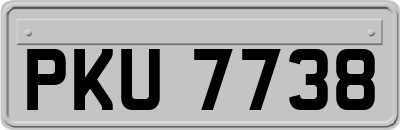 PKU7738