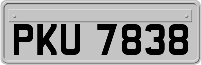 PKU7838
