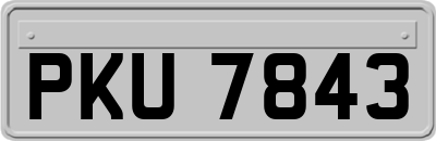 PKU7843