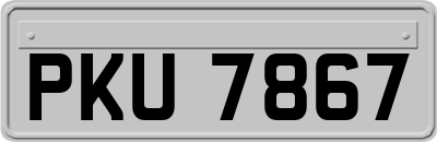 PKU7867