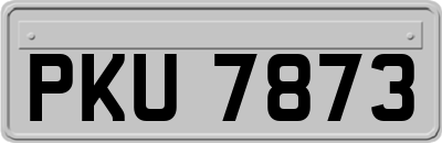PKU7873