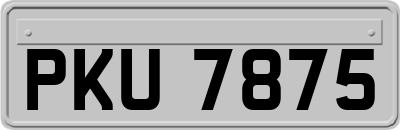 PKU7875