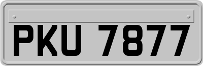 PKU7877