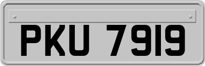 PKU7919