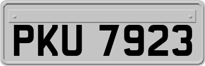 PKU7923
