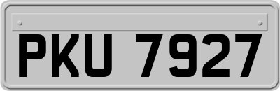 PKU7927