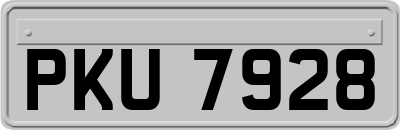 PKU7928