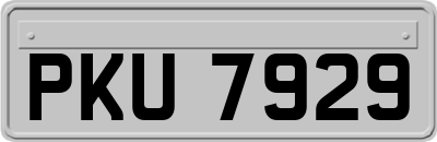 PKU7929