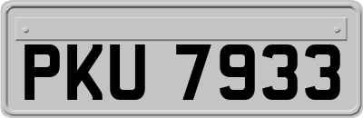 PKU7933