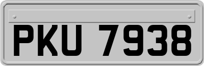 PKU7938