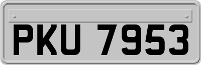 PKU7953