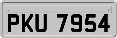 PKU7954