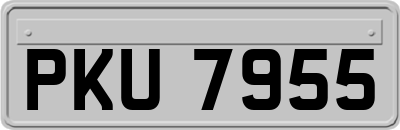 PKU7955