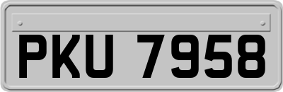 PKU7958