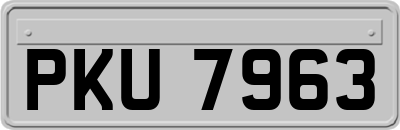 PKU7963