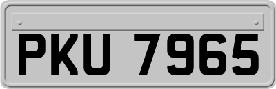 PKU7965
