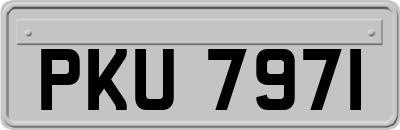 PKU7971