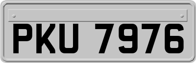 PKU7976
