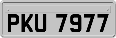 PKU7977