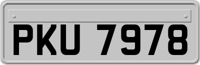 PKU7978