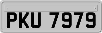PKU7979