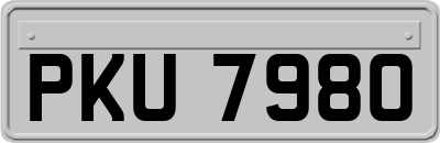 PKU7980