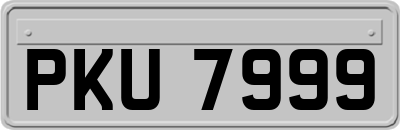 PKU7999