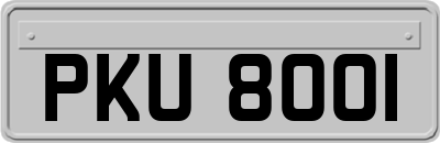 PKU8001