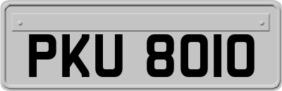 PKU8010